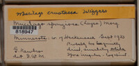 Image Associated With the Occurence